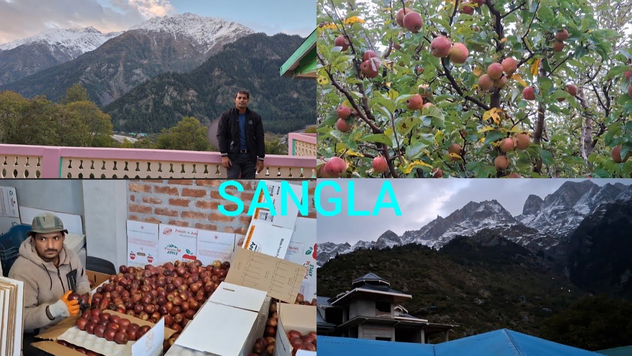 Beautiful Sangla village- Kinnaur  - Himachal Pradesh::