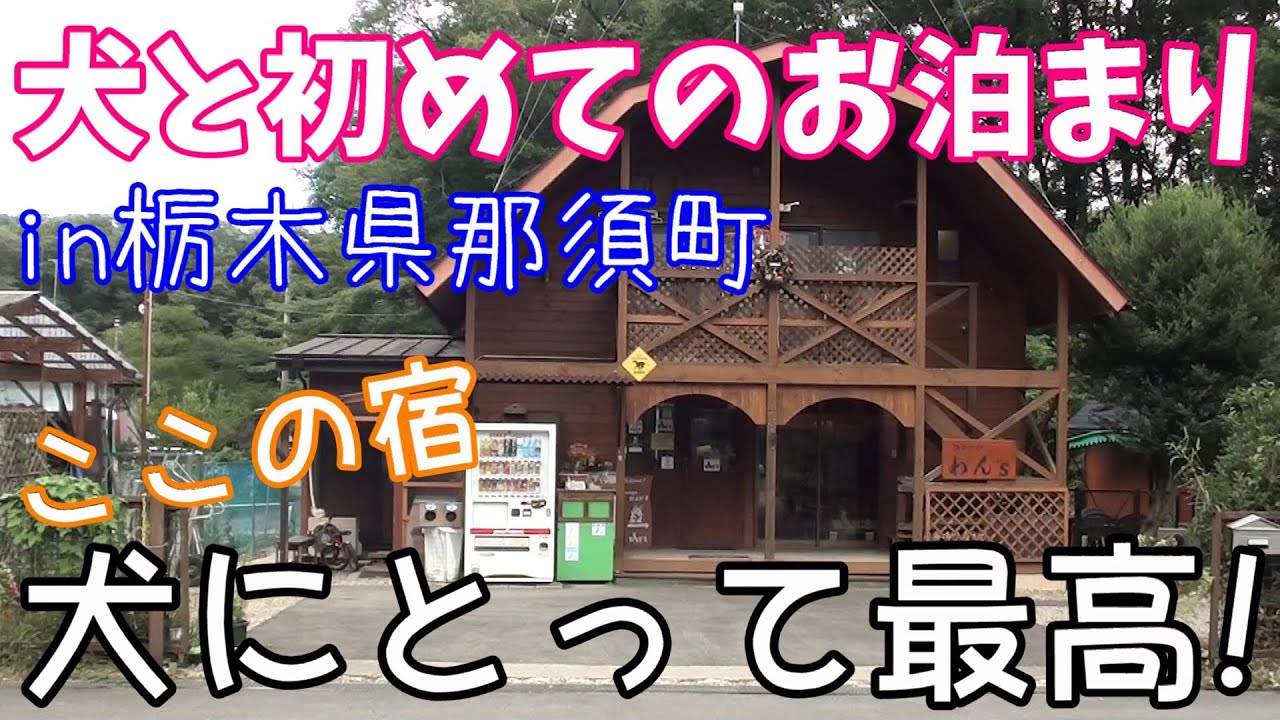 【犬とお泊まり】犬とずーっと一緒！ #コテージわん’S #栃木県 #那須町 #犬とお泊まり