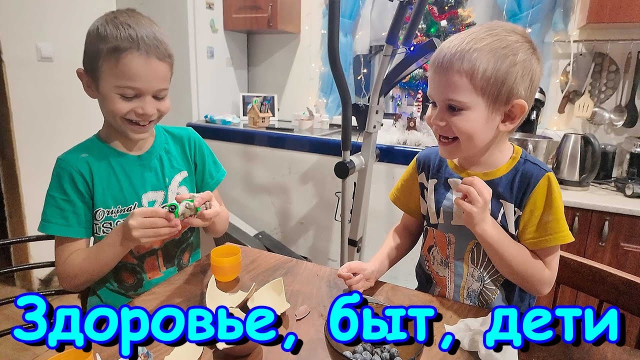 Созвон с врачом. Ужас в хозпостройке. Эллипсоид. И др. (01.26г.) Семья Бровченко.
