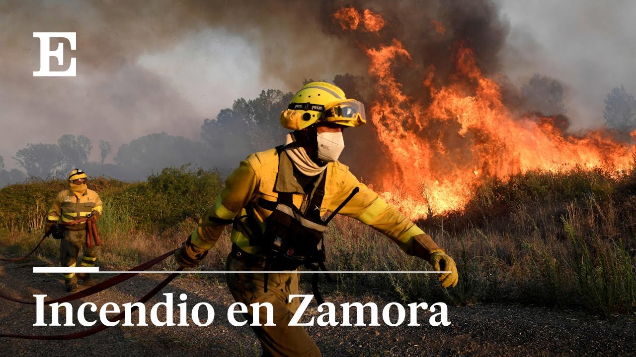 Un incendio forestal arrasa la provincia de Zamora, en directo | EL PAÍS