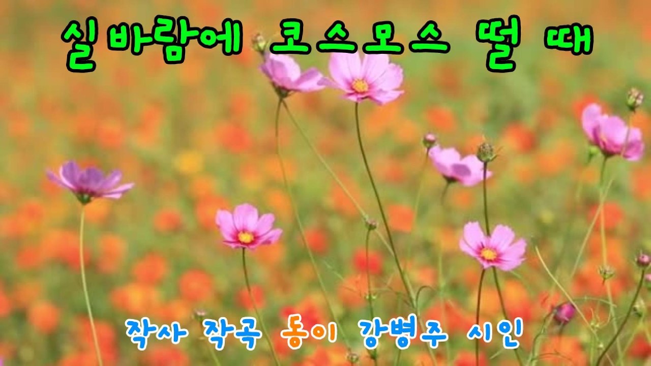 실바람에 코스모스 떨 때 🌸 | 해와 별 그리고 실바람 향연 | 우주 감싸는 감성 터치