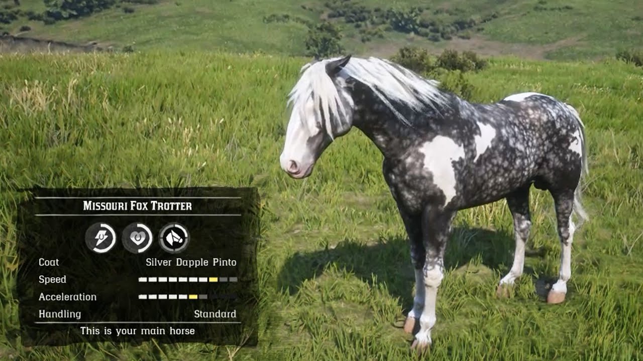Best & Proper Way to Get the Fastest Missouri Fox Trotter Horse Early - RDR2