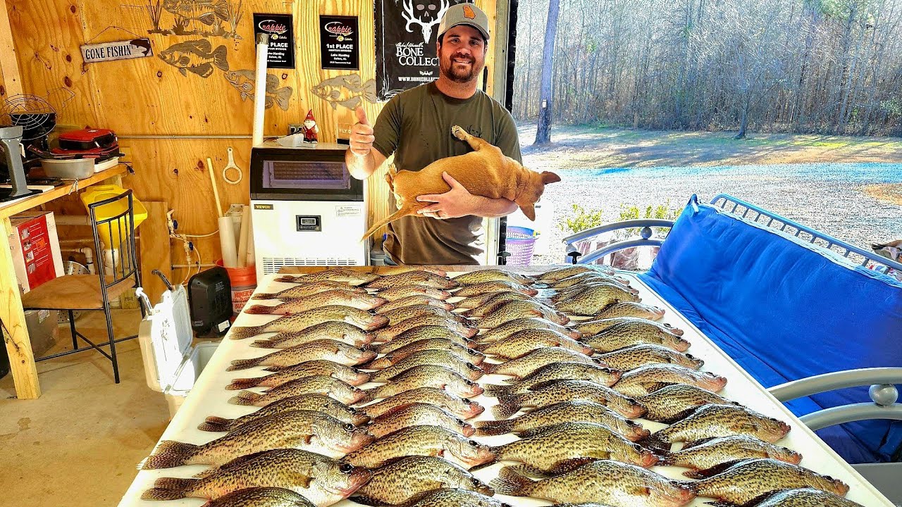 Nonstop Crappie Action Shooting Docks!!! (Catch Clean & Cook)