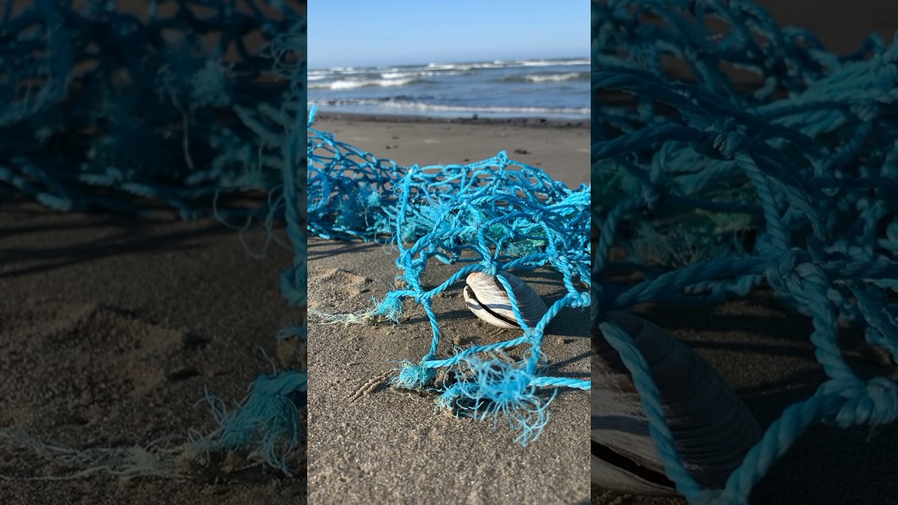 берегите природу 💙 #море #пляж #планета #путешествия #арктика #экология #eco #plastic