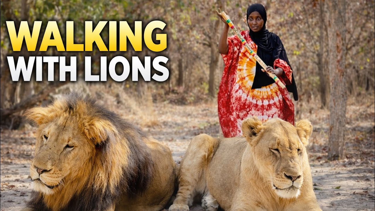 I Discovered Senegal’s Hidden Paradise 🇸🇳 —Sine Saloum 