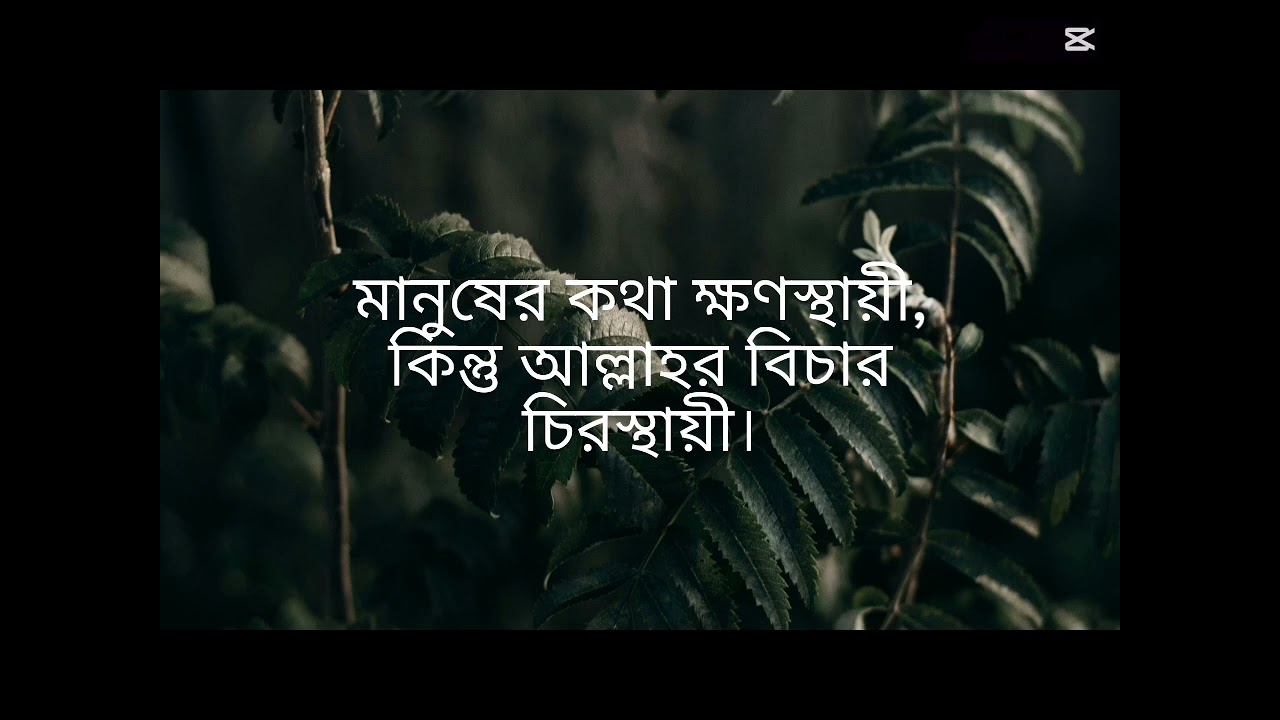 চুপ থাকাই শক্তি | ইসলামিক শিক্ষা