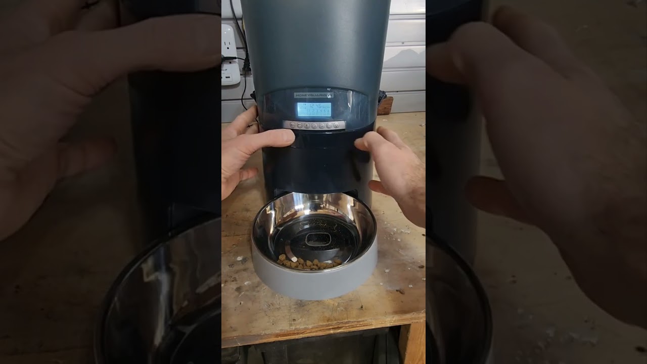 How to program the Honeyguardian Automatic Pet Feeder 6.5L Dual Feeder Dispenser