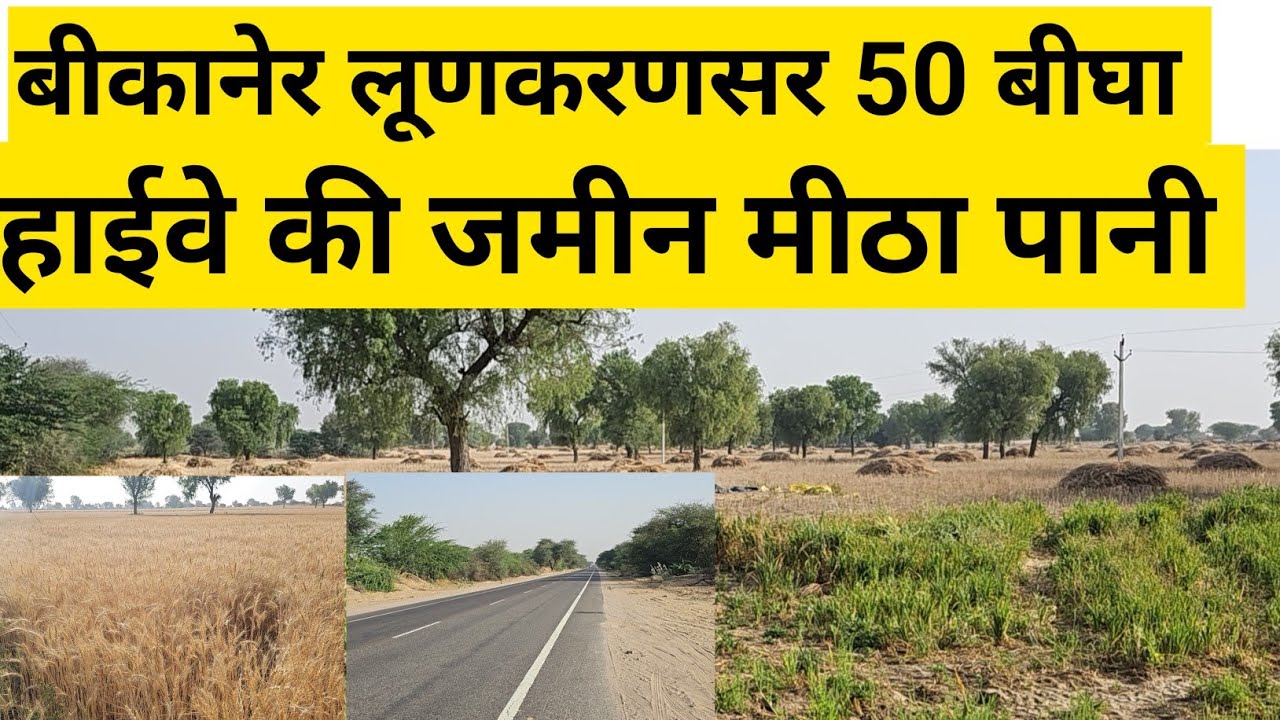 50 बीघा हाईवे की जमीन बिकाऊ। Rajasthan bikau Jameen। agriculture land Rajasthan #land #agriculture