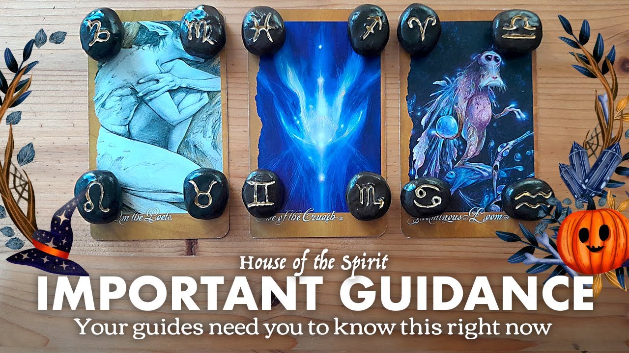 Your Guides Need You to Know This Right Now Pick-a-Card #timeless #tarotreading #pickacard