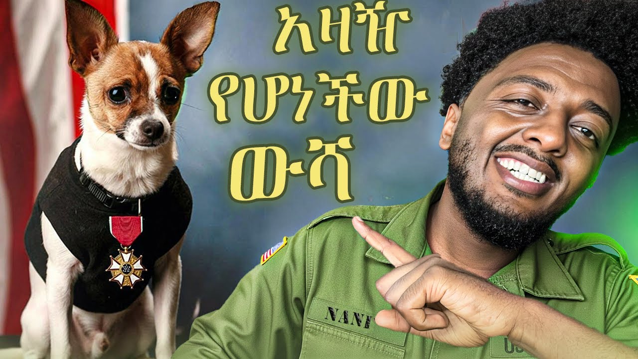 1ኛ ያአለም ጦርነት ተሳትፋለች❗️  ድንቅ  እውነተኛ ታሪ