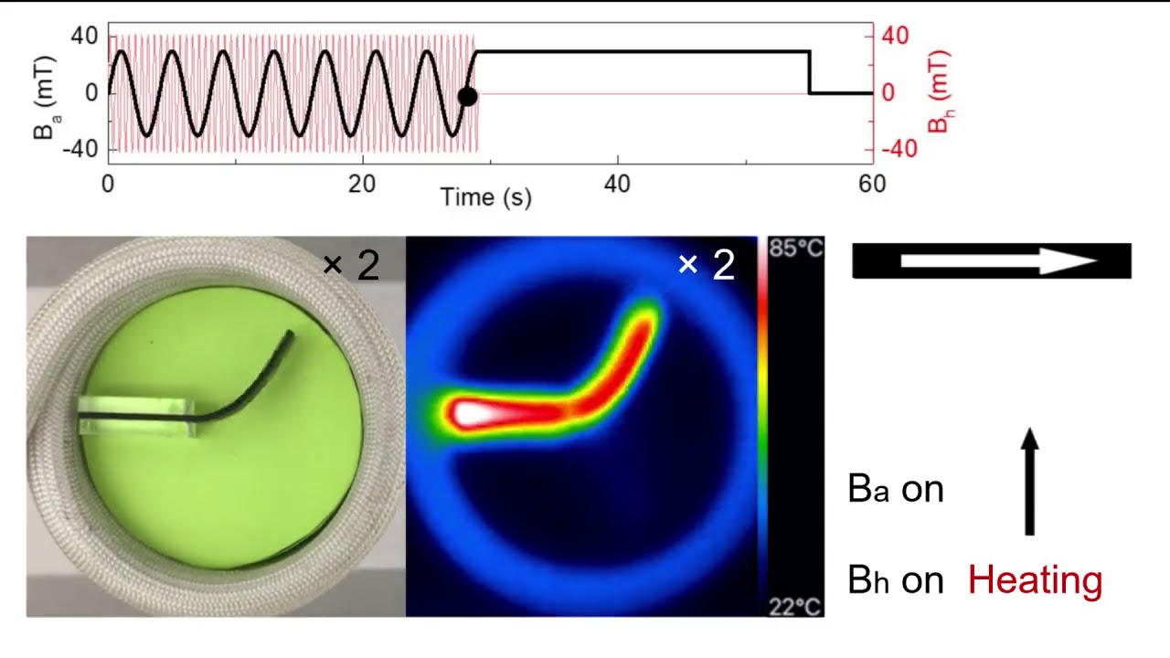 Magnetic actuation and shape-locking of a 1-D cantilever