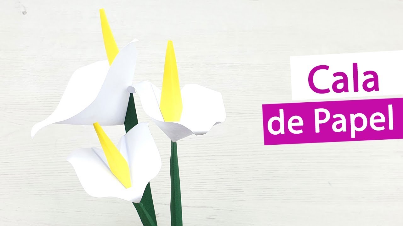 Cala de papel ¿Cómo hacer esta flor de papel?