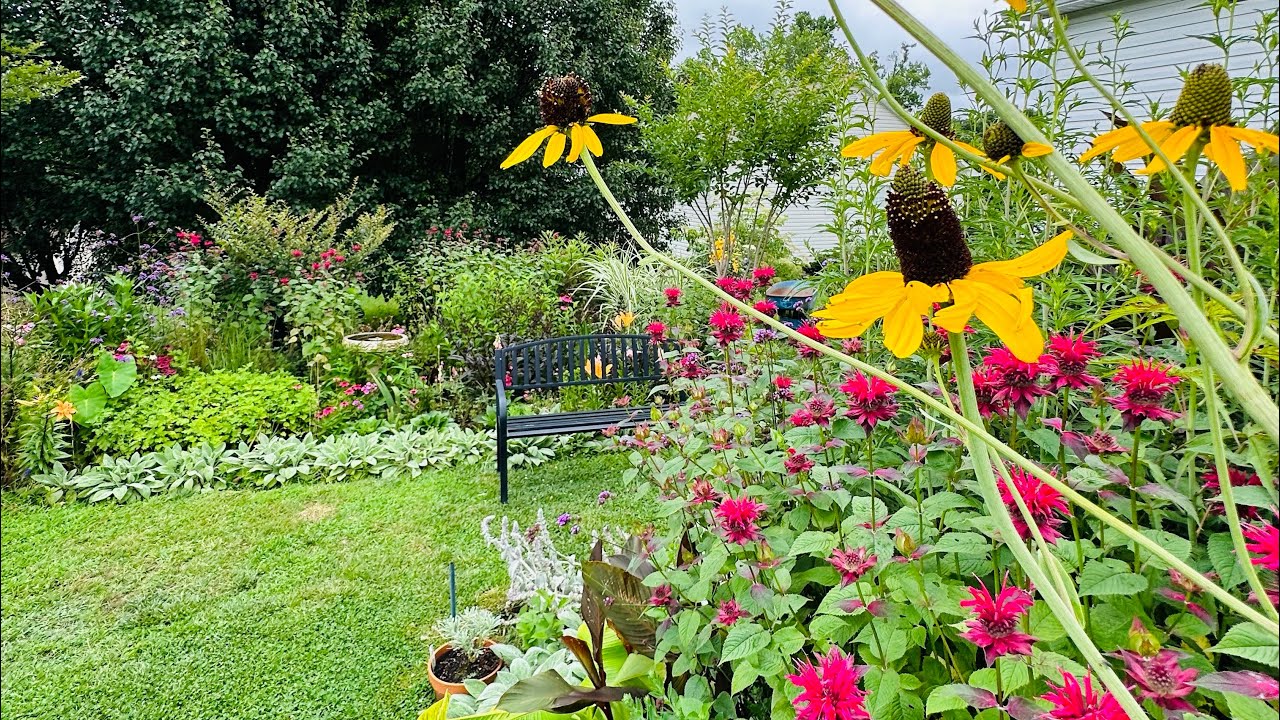 Late June Cottage Garden Tour