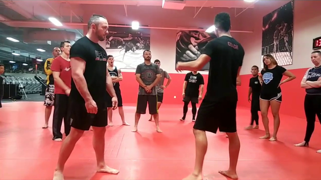 UFC BOXING