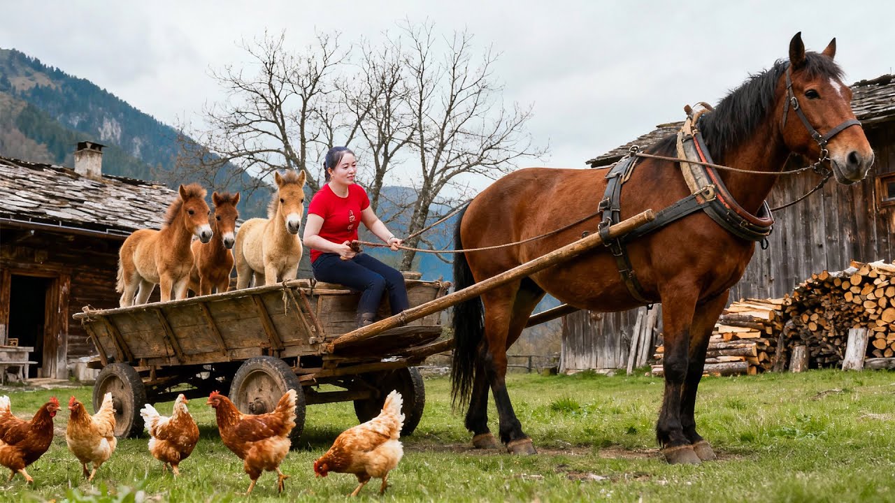 Buy and Transport Over 1000 Horses from Farmers to the Countryside Market | Farm Farm TV