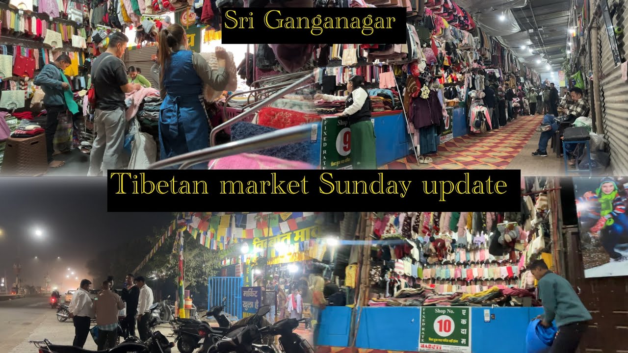 Обновление тибетского рынка Шри Ганганагара | Обновление воскресного цонга/лучшее воскресенье #ti...