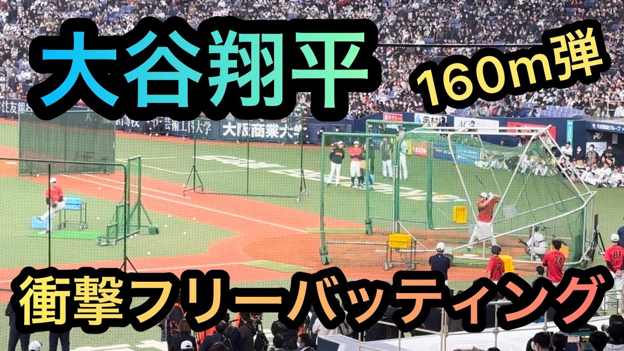 【どこまで飛ばすん？】大谷翔平(Shoei Ohtani)のフリーバッティング練習風景、侍ジャパン、WBC