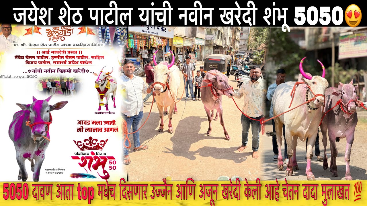 जयेश शेठ पाटील यांची नवीन खरेदी शंभू 5050😍| काय नियोजन असेल सोन्या ५०५० आणि उज्जैन नियोजन कसं?
