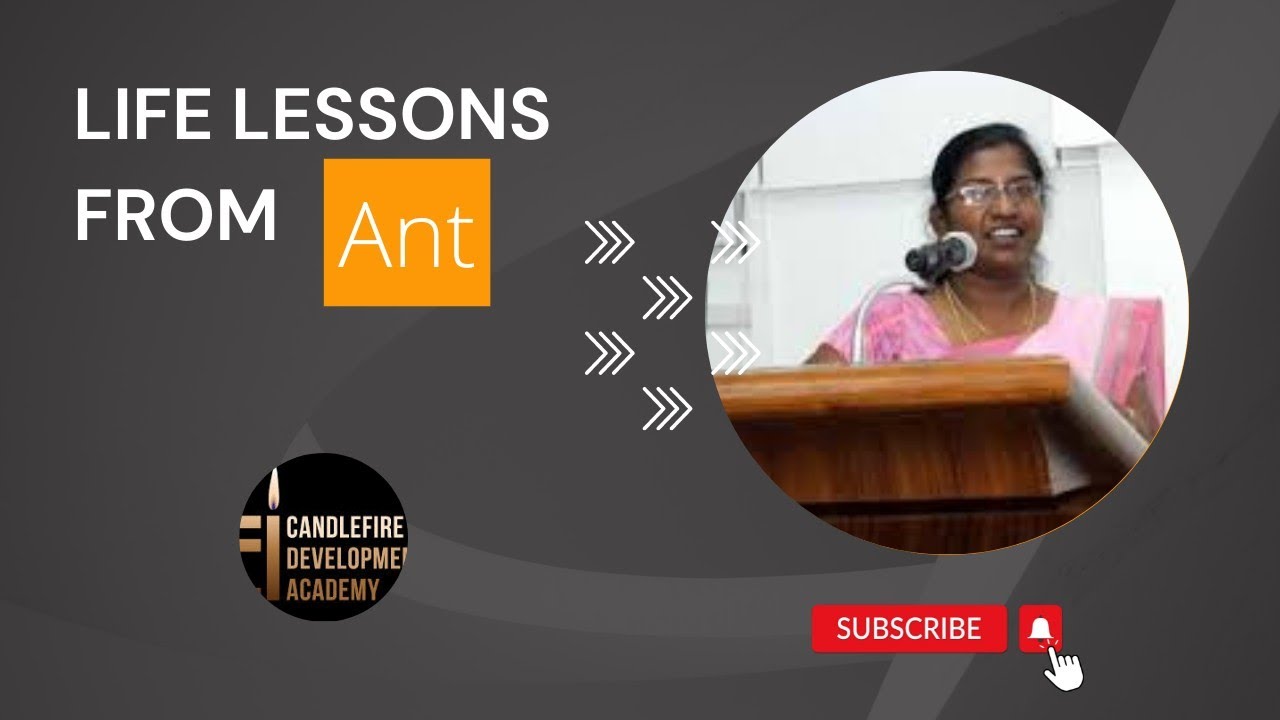 5 life lessons you can learn from an Ant