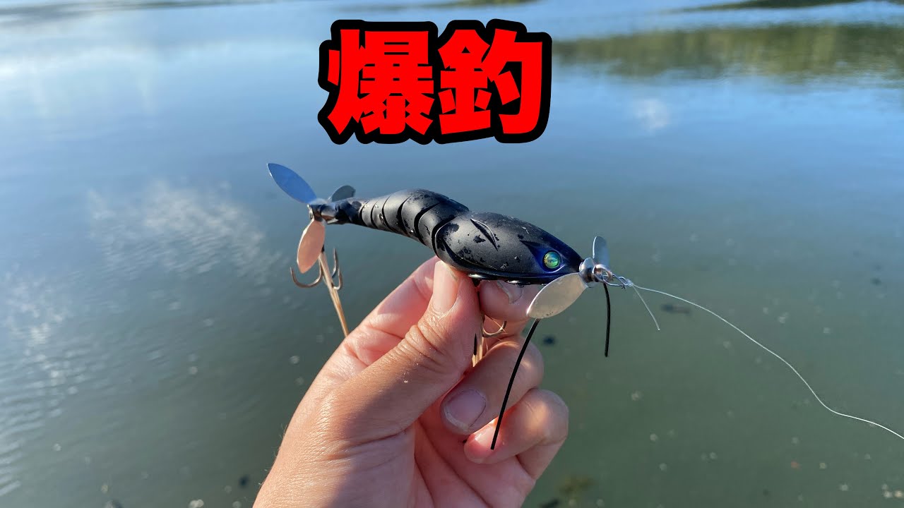 久しぶりに秋のバス釣りを楽しんできました
