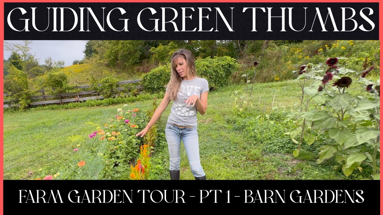 FLOWER FARM GARDEN TOUR - PART #1 - THE BARN GARDENS