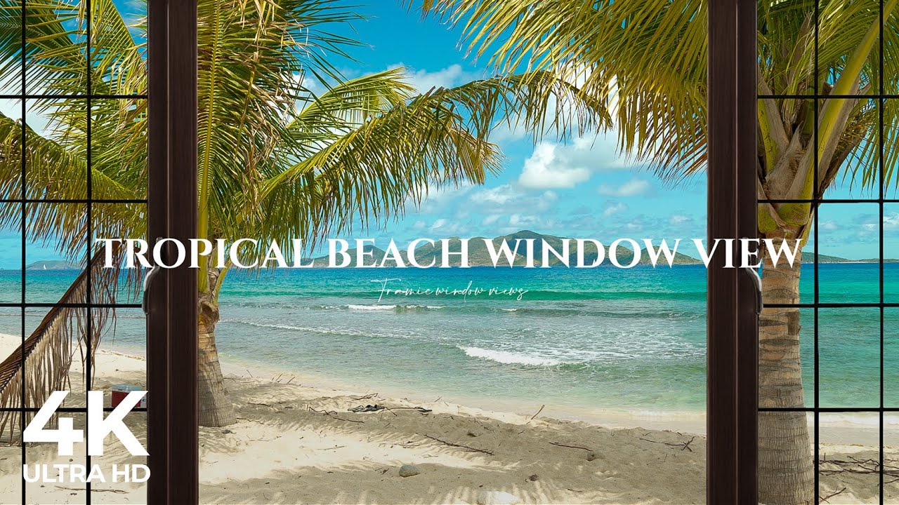 4K Tropical Beach window view in the Caribbean - Palm Trees, Ocean Sounds, Waves, White Noise