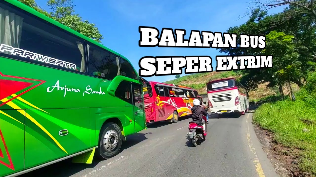 BALAPAN BUS ‼️ sugeng rahayu VS bus pariwisata primajasa budiman