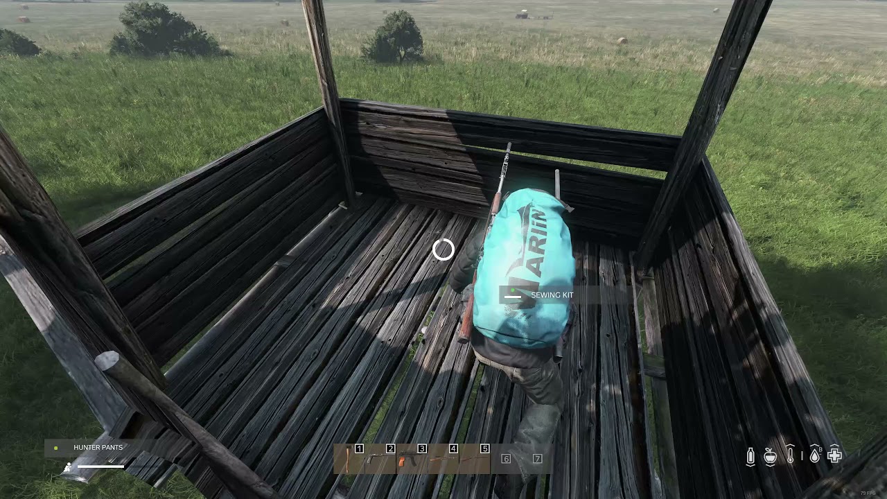 Dayz | Pants