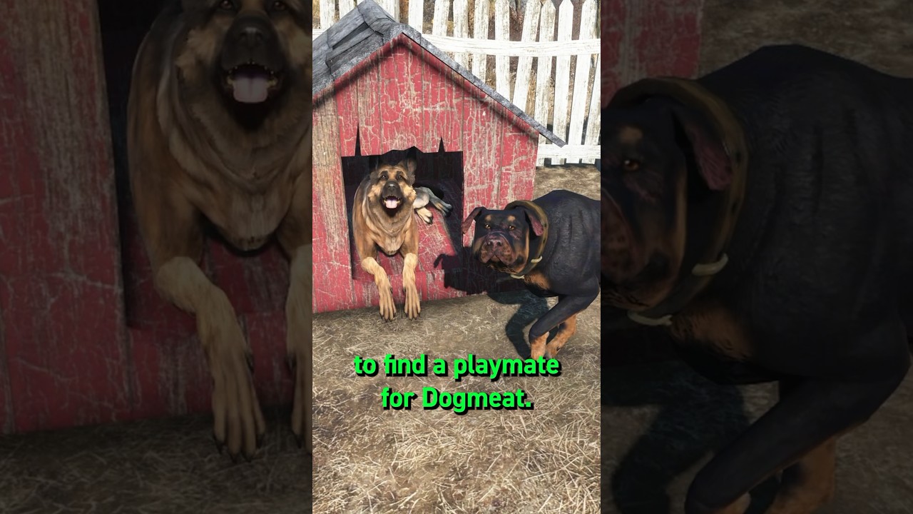 Неохотный продавец собак из Fallout 4!