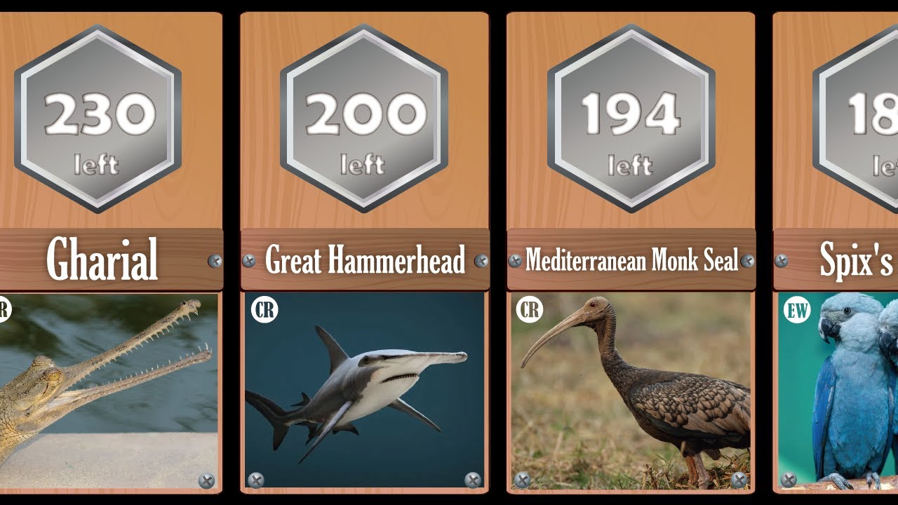 Most ENDANGERED SPECIES in the World (2023)