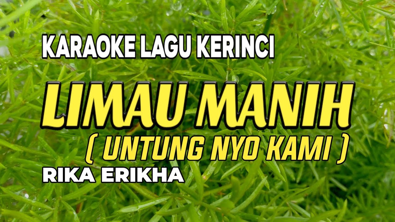 Lagu Kerinci Karaoke Limau Manih ( Untungnyo Kami ) ( Karaoke / Lirik )  || Rika Erikha
