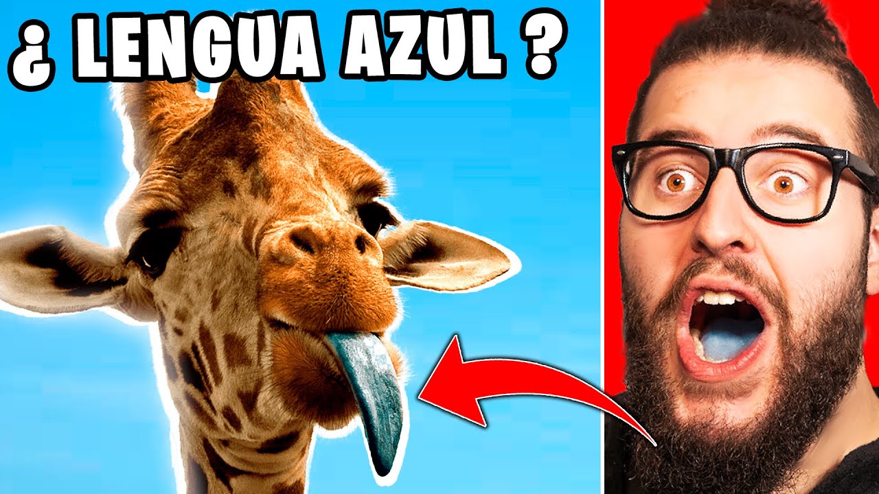 REACCIONANDO A Cosas Que NO Sabias Hace 5 MINUTOS [26] | UVE