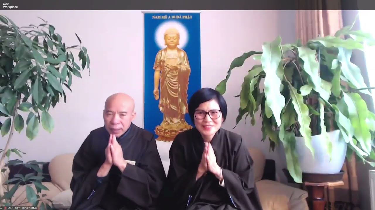 TẠI SAO HÔN MÊ ĐƯỢC NHẬN HỘ NIỆM RA ĐI VẪN ĐÊ LẠI THOẠI TƯỚNG MỀM MẠI? THẦY THÍCH TỊNH HẢI