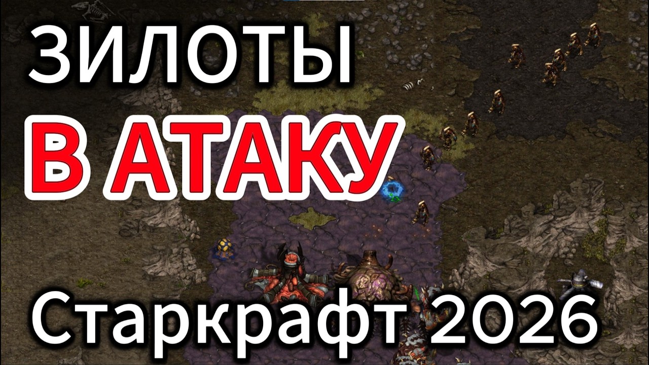 Старкрафт PvZ - Мастер класс по гидрапушу от зерга и жадности от протосса - effOrt против Best