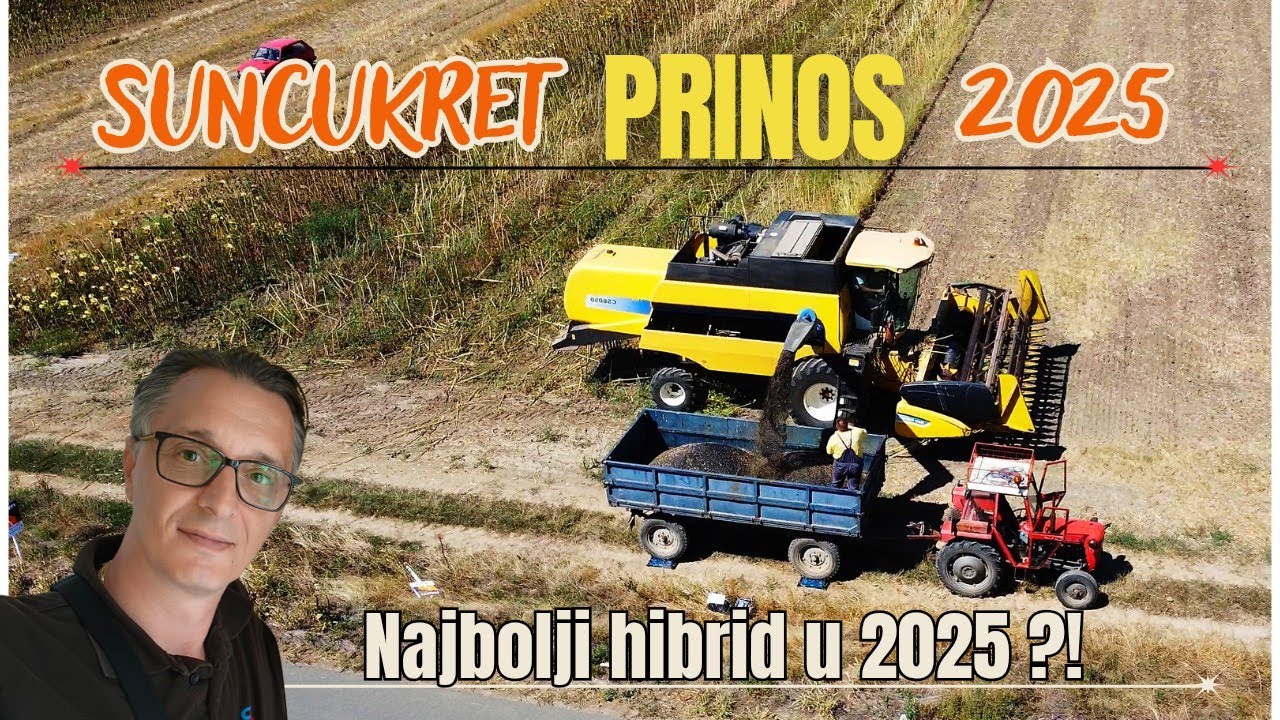 KAKI SU PRINOSI SUNCUKRETA  2025  -  Nikola OGLED Suncukreta