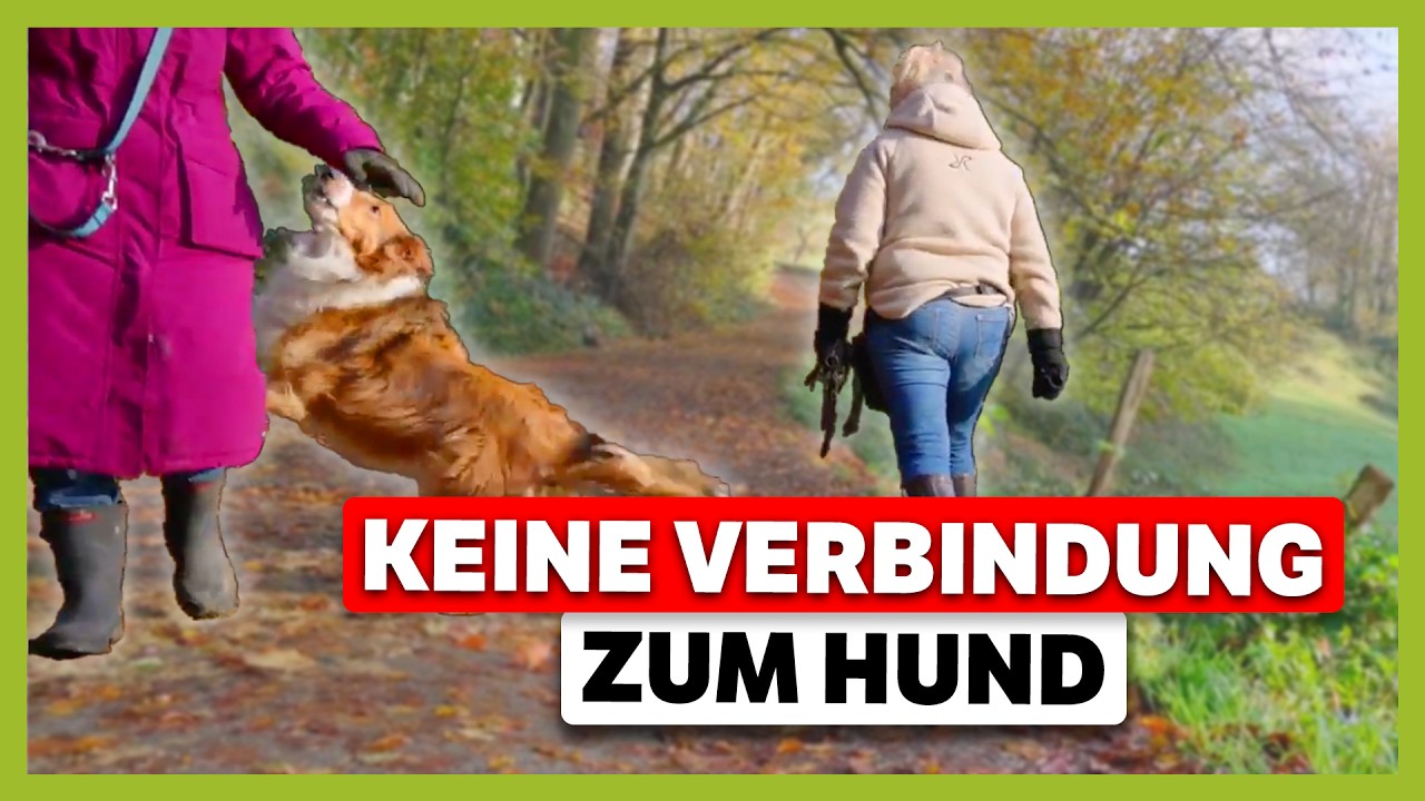 Hund BELLT fremde Menschen an: Unerfülltes Grundbedürfnis