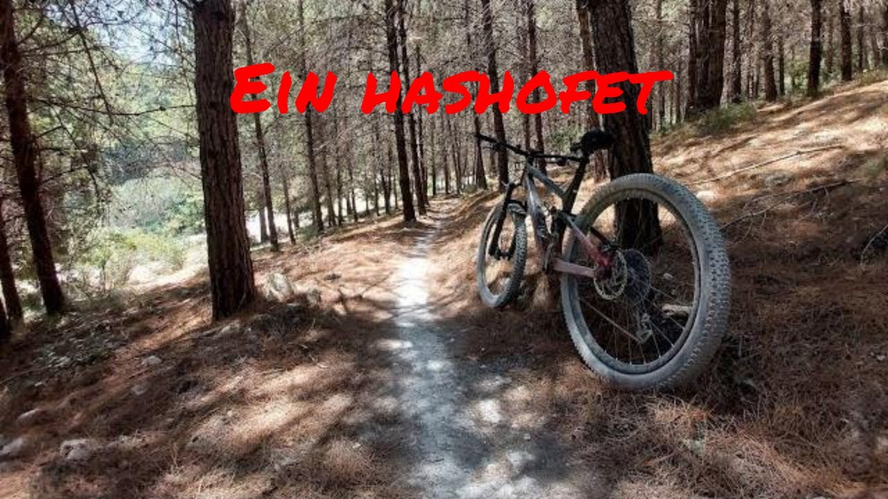 Ein hashofet | סינגל עין השופט - הזורע