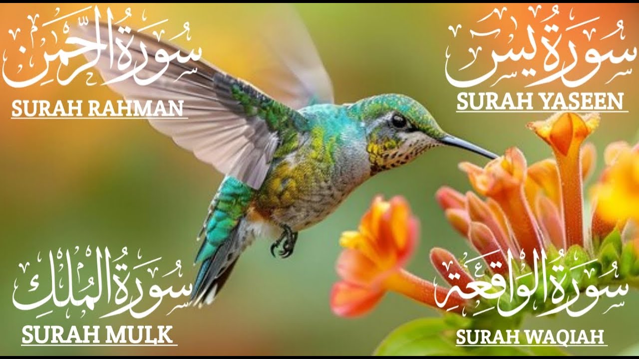تلاوة خاشعة سورة يس،الواقعة،الملك،والرحمنqurantilawat# Yasin❤️Rahman❤️Mulk❤️Waqiah  #quranrecitation