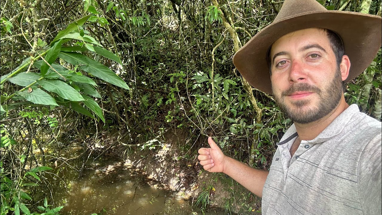 Encontrei uma grande riqueza no sítio alugado e aonde vamos fazer a capineira para vacas ?