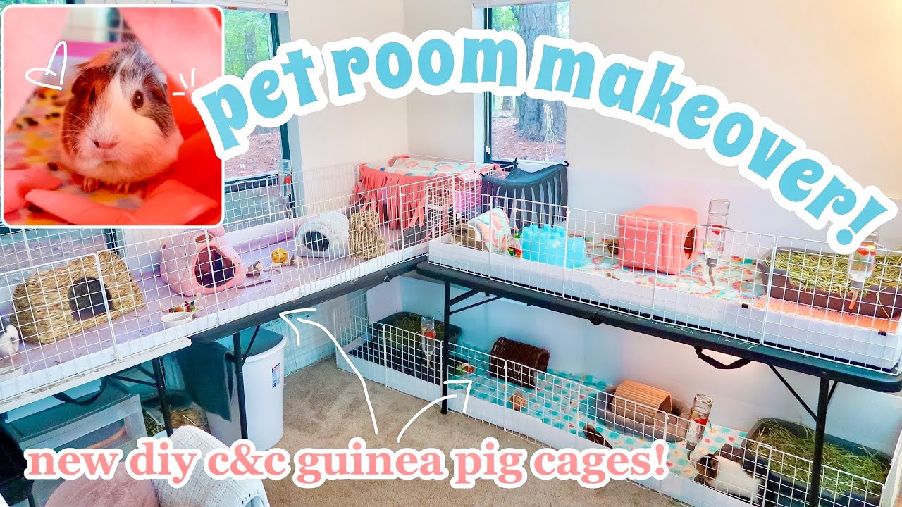 PET ROOM MAKEOVER 💗 // Building New C&C Guinea Pig Cages + Reorganizing