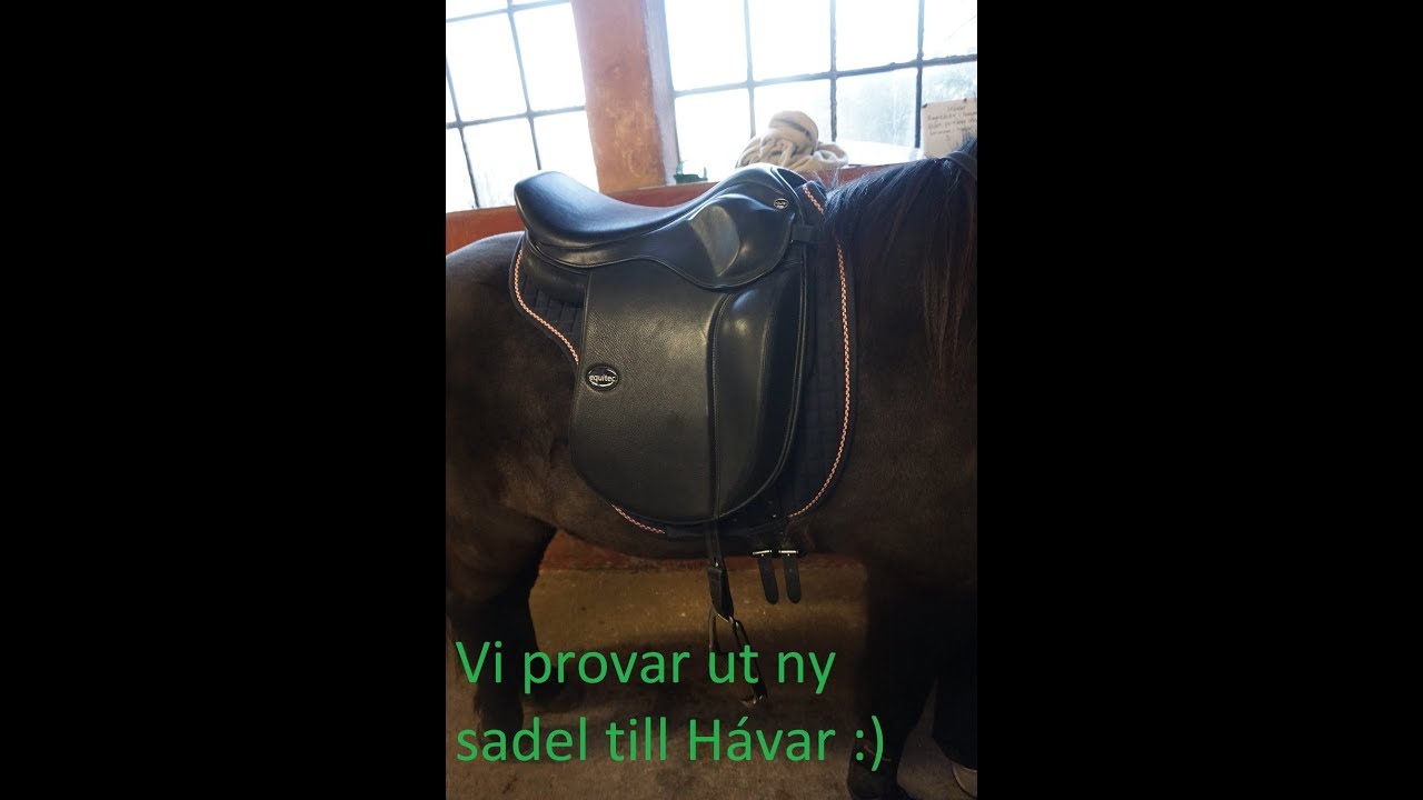 Vi provar ut ny sadel till Hávar.