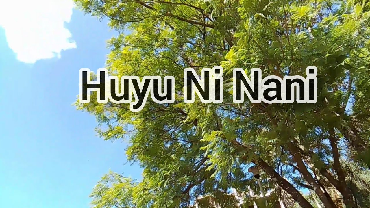 Huyu ni Nani (Keyboard Performance)