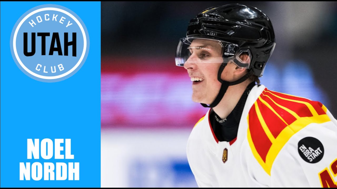 NHL Prospects : Noel Nordh - 23-24 Highlights