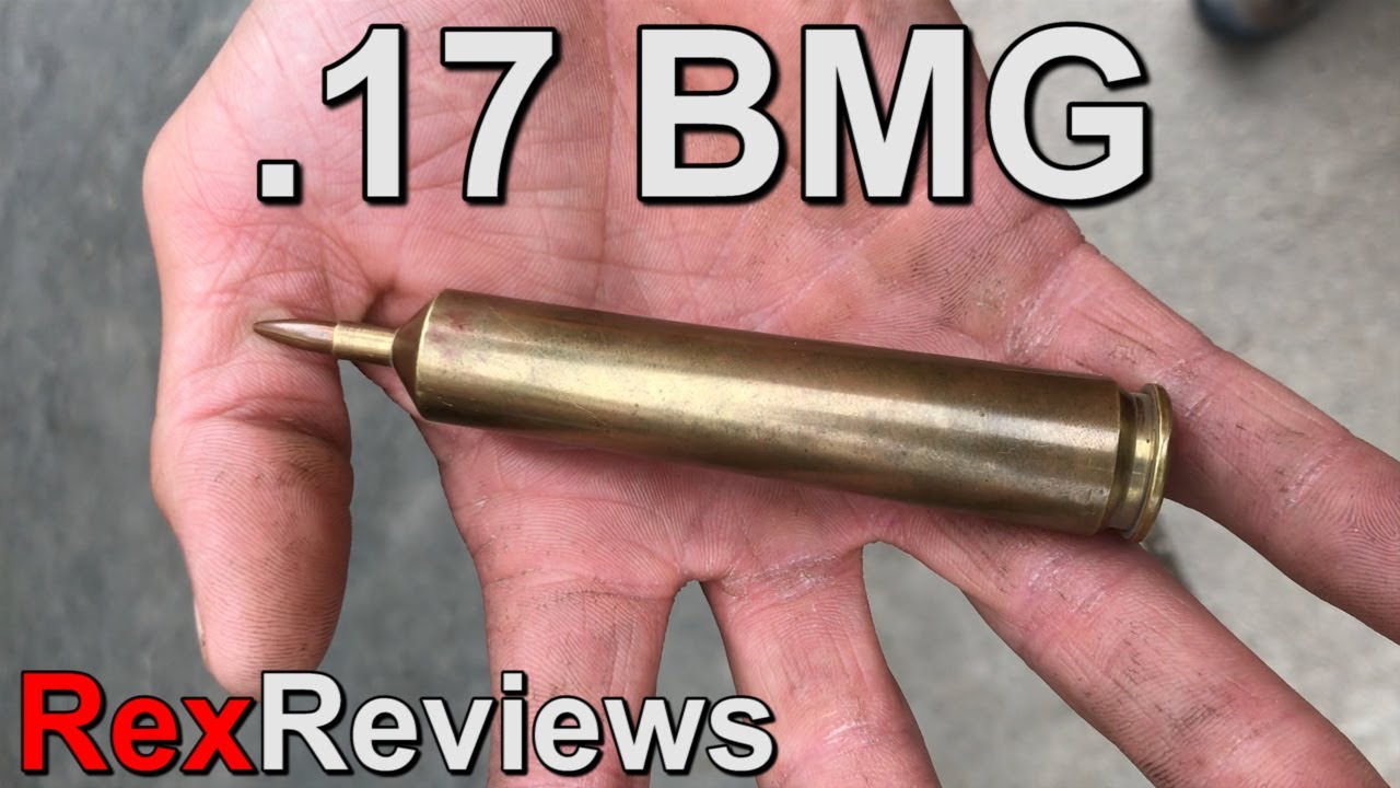 .17 BMG - Hypersonic on a Budget ~ Rex Reviews