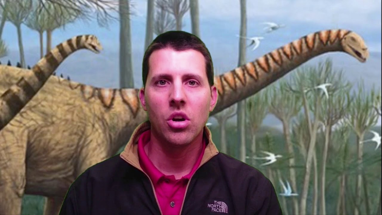Why Did Sauropod Necks Grow So Long?
