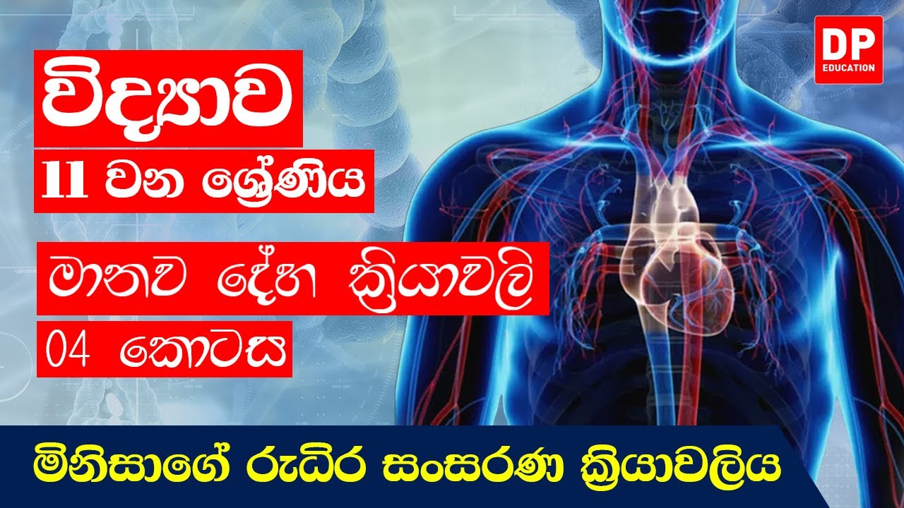 06 වන පාඩම (මානව දේහ ක්‍රියාවලි - 4 කොටස) | මිනිසාගේ රුධිර සංසරණ ක‍්‍රියාවලිය | 11 ශ්‍රේණිය විද්‍යාව