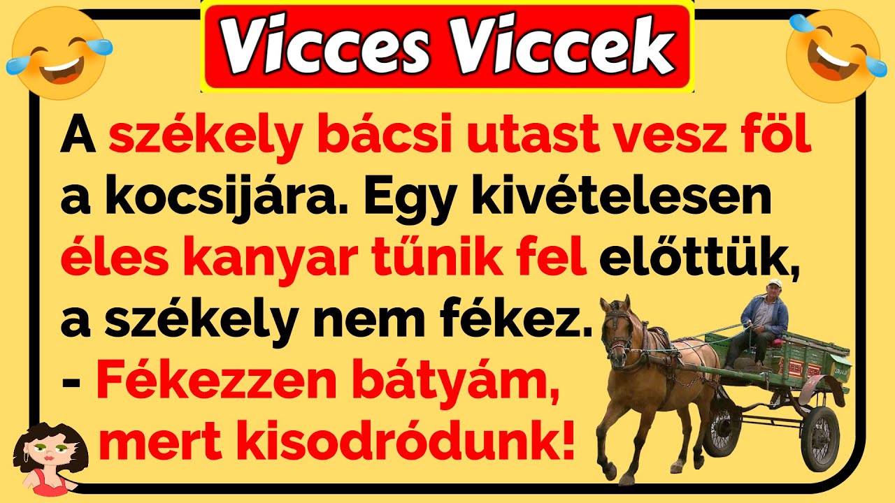 🤣 Vicces Viccek: A sz&eacute;kely b&aacute;csi utast vesz f&ouml;l a kocsij&aacute;ra... ami ezut&aacute;n t&ouml;rt&eacute;nik vicces 😂🤣😂