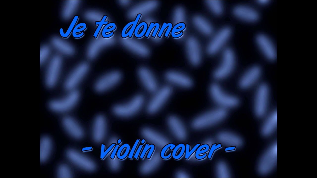 Je te donne - violin cover