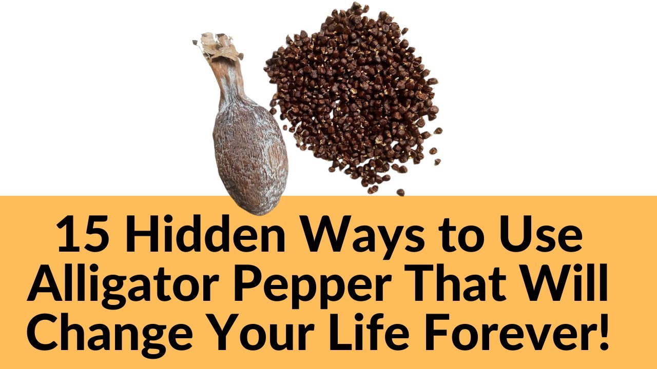 15 Hidden Ways to Use Alligator Pepper That Will Change Your Life Forever!