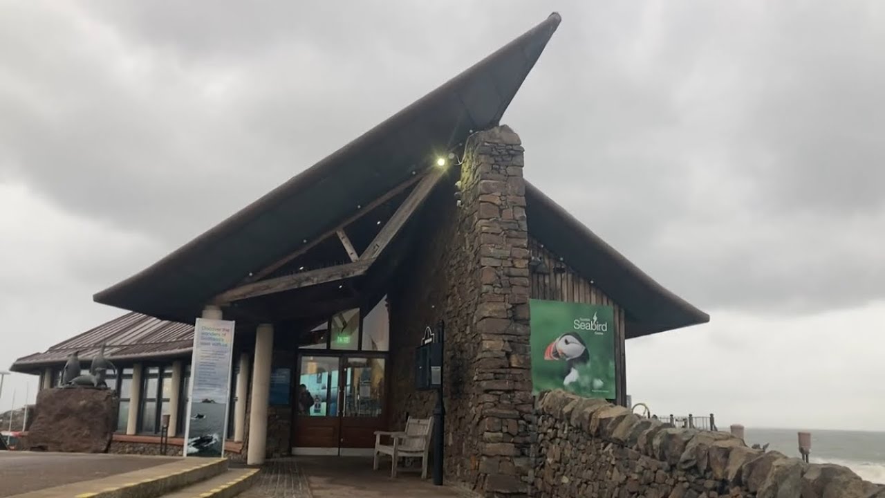 A Wee Bit Stormy at the Scottish Seabird Centre